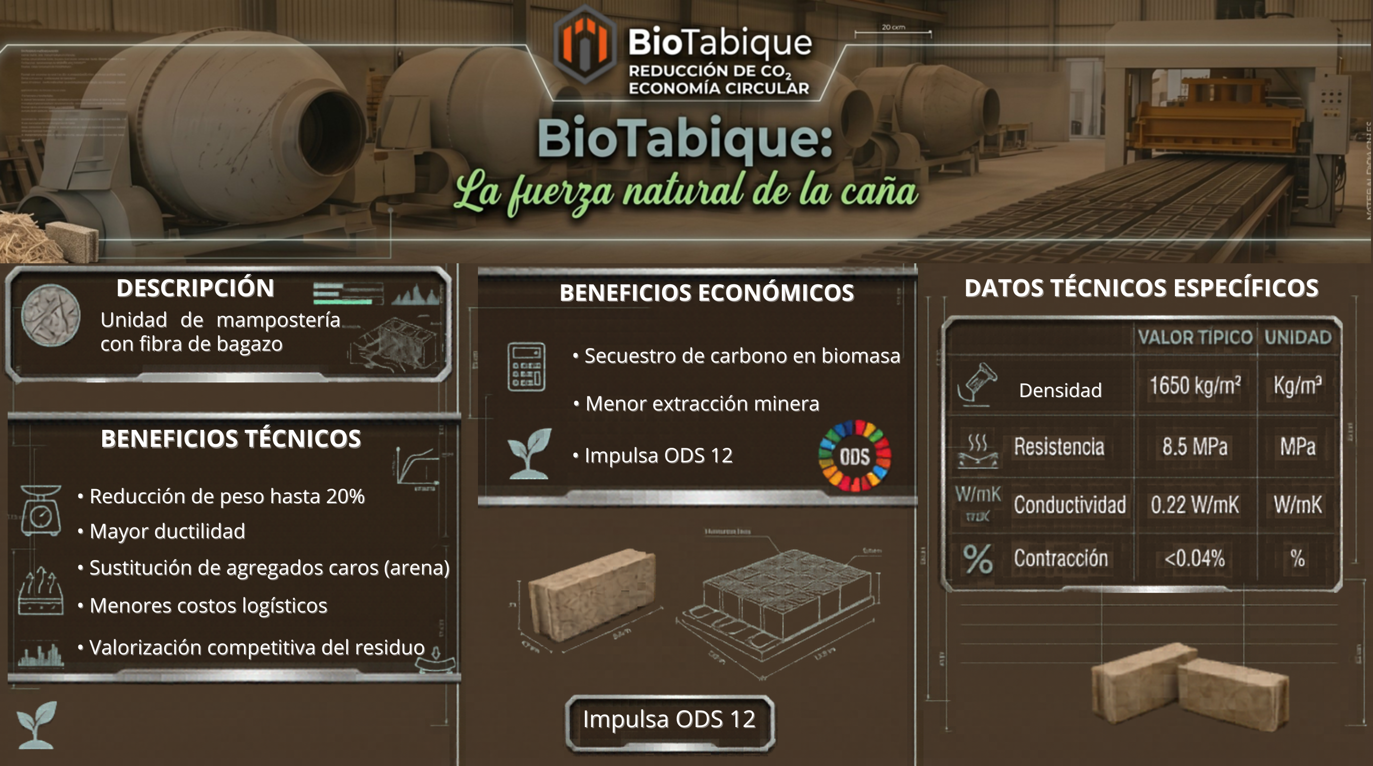 Imagen en pantalla completa
